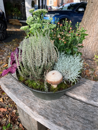 Autumn planter with wooden mushroom