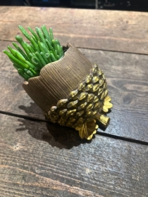 Pine cone planter