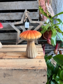 Shitake mini mushroom vase